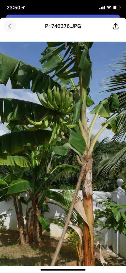 Hotel Ogumka, Self catering , Beoliere, Mahe Victoria Exterior foto